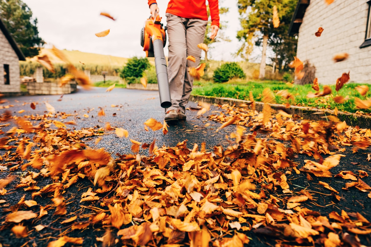 Leaf blower clearing driveway 